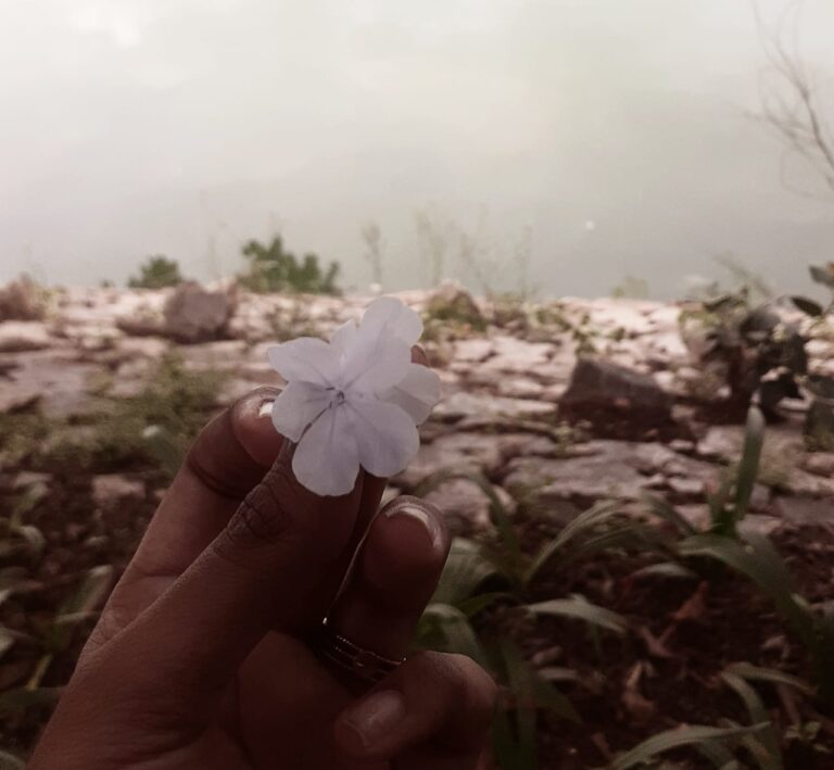 holding a flower